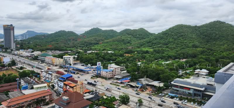 Sea Hill Condo Sriracha : ซีฮิลล์ คอนโด ศรีราชา, ชลบุรี, 456 หมู่ 10 ถนนสุขุมวิท, บางพระ, ศรีราชา, ชลบุรี, 64 ตร.ม., คอนโด ให้เช่า, โดย Sirisongkran Kasemkun, 500466045 - DDproperty.com