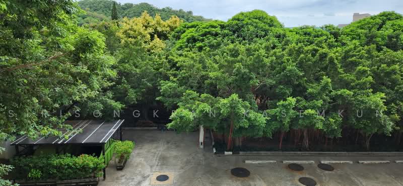 Sea Hill Condo Sriracha : ซีฮิลล์ คอนโด ศรีราชา, ชลบุรี, 456 หมู่ 10 ถนนสุขุมวิท, บางพระ, ศรีราชา, ชลบุรี, 64 ตร.ม., คอนโด ให้เช่า, โดย Sirisongkran Kasemkun, 500466045 - DDproperty.com