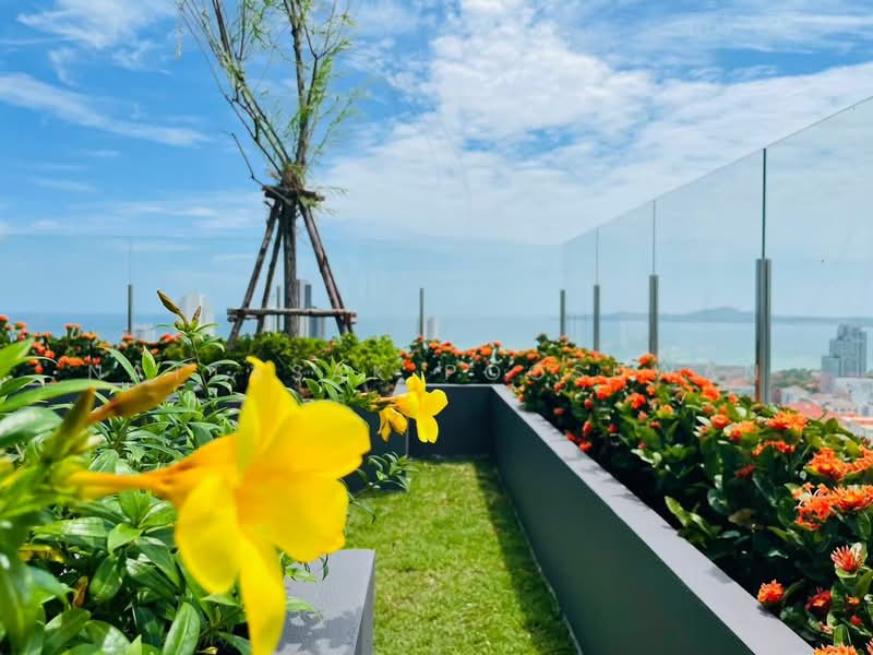Beverly Mountain Bay Pattaya : เบเวอร์ลี่ เมาน์เท่น เบย์ พัทยา, ชลบุรี, ซอยพระตำหนัก 5, หนองปรือ, บางละมุง, ชลบุรี, 28 ตร.ม., คอนโด ขาย, โดย Nattasak Poosuwan, 500466112 - DDproperty.com