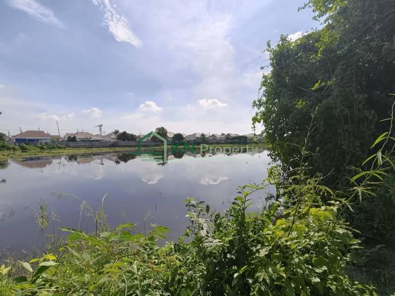 ขายที่ดิน 7-3-48 ไร่ ติดถนนเทศบาล 4 และนิคมอมตะซิตี้ ต.หนองตำลึง อ.พานทอง, Chon Buri (Pattaya), Nong Tamlung, Phan Thong, Chon Buri (Pattaya), , 12,592 sqm, Land For Sale, by KN Property, 500466117 - DDproperty.com