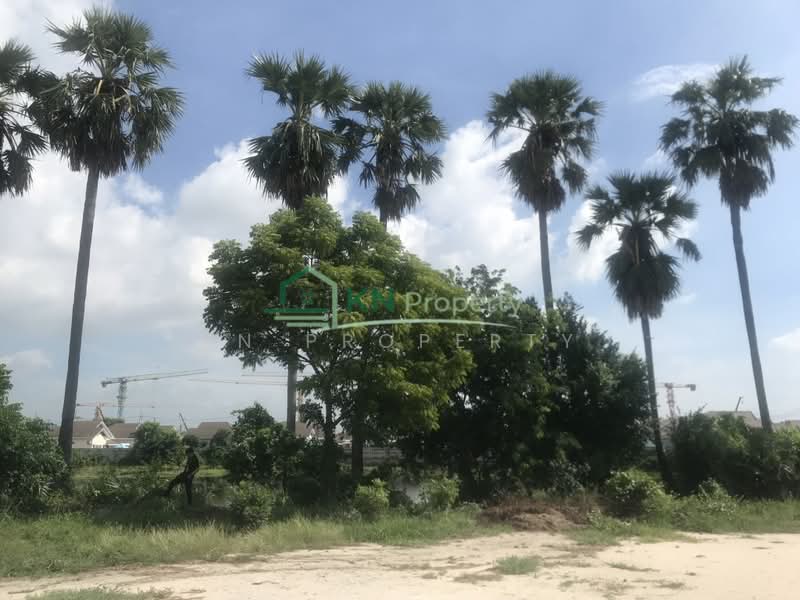 ขายที่ดิน 7-3-48 ไร่ ติดถนนเทศบาล 4 และนิคมอมตะซิตี้ ต.หนองตำลึง อ.พานทอง, ชลบุรี, หนองตำลึง, พานทอง, ชลบุรี, 12,592 ตร.ม., ที่ดิน ขาย, โดย KN Property, 500466117 - DDproperty.com
