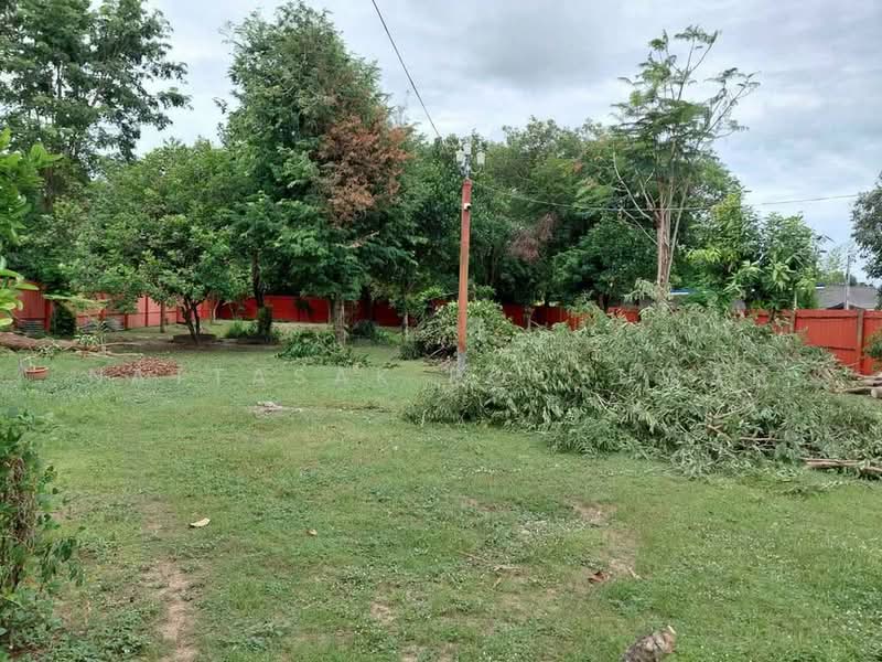 4-BR House, Chon Buri (Pattaya), Ta Khian Tia, Bang Lamung (Pattaya), Chon Buri (Pattaya), 4 Bedrooms, 220 sqm, Single Detached House For Sale, by Nattasak Poosuwan, 500466138 - DDproperty.com