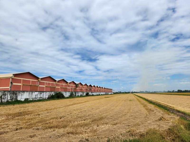 Land at Sai Noi - Lat Bua Luang, Nonthaburi, ไทรน้อย - ลาดบัวหลวง, Rat Niyom, Sai Noi, Nonthaburi, , 43,036 sqm, Land For Sale, by Shaporn Supvilaiphisan, 500466170 - DDproperty.com