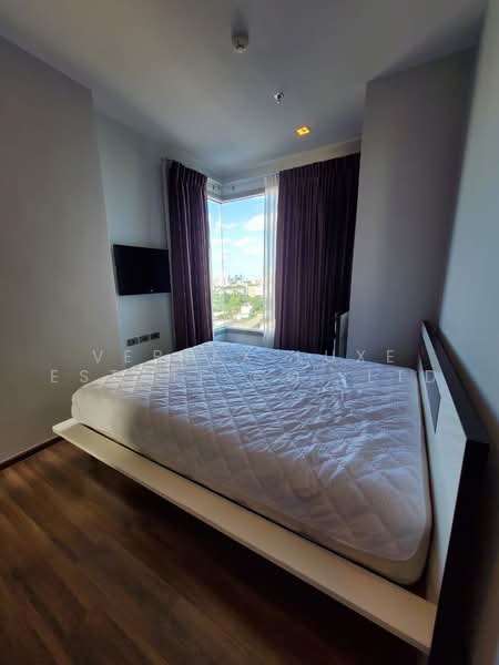 CEIL by Sansiri, Bangkok, 11 Soi Ekamai 12, Sukhumvit 63 Road, Khlong Tan Nua, Watthana, Bangkok, 1 Bedroom, 35 sqm, Condo For Rent, by Vertex Luxe Estate Co.,LTD, 500466195 - DDproperty.com