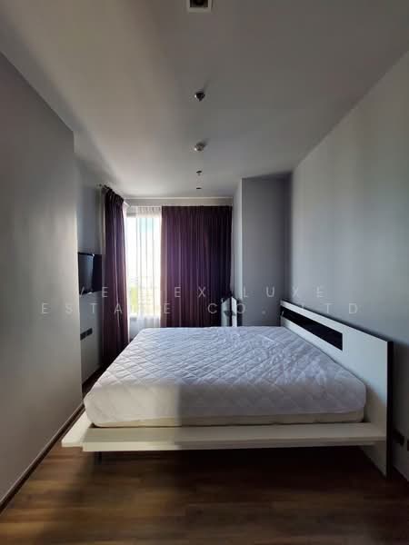 CEIL by Sansiri, Bangkok, 11 Soi Ekamai 12, Sukhumvit 63 Road, Khlong Tan Nua, Watthana, Bangkok, 1 Bedroom, 35 sqm, Condo For Rent, by Vertex Luxe Estate Co.,LTD, 500466195 - DDproperty.com
