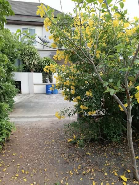 ขายที่ดินแปลงสวย 70.8 ตร.ว. หมู่บ้านสำราญวิลล่า ถนนพุทธมณฑลสาย 7 ต.คลองใหม่ อ.สามพราน จ.นครปฐม, Nakhon Pathom, Khlong Mai, Sam Phran, Nakhon Pathom, , 283 sqm, Land For Sale, by Wuthikorn Prasomsan, 500466229 - DDproperty.com