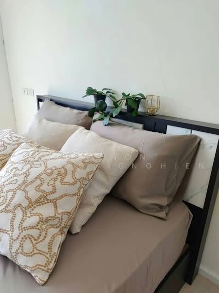 Aspire Sukhumvit 48 : แอสปาย สุขุมวิท 48, กรุงเทพ, ซอยสุขุมวิท 48 ถนนสุขุมวิท แขวงพระโขนง เขตคลองเตย กรุงเทพมหานคร, พระโขนง, คลองเตย, กรุงเทพ, 38 ตร.ม., คอนโด ให้เช่า, โดย Chanon Phangchienghien, 500466322 - DDproperty.com