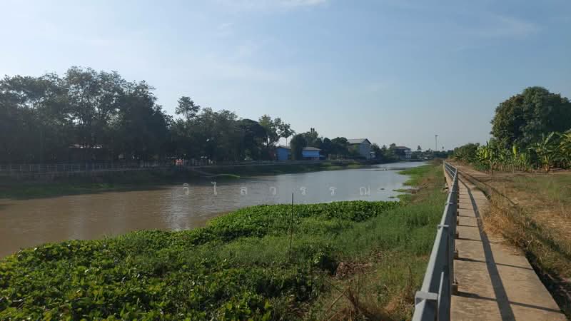 สุพรรณบุรี, สุพรรณบุรี, วังน้ำซับ, ศรีประจันต์, สุพรรณบุรี, 7,788 ตร.ม., ที่ดิน ขาย, โดย วิไลวรรณ, 500466378 - DDproperty.com
