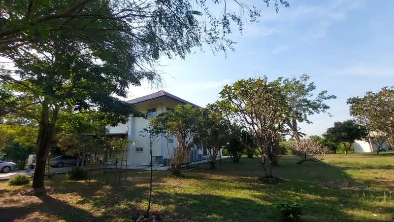 สุพรรณบุรี, สุพรรณบุรี, วังน้ำซับ, ศรีประจันต์, สุพรรณบุรี, 7,788 ตร.ม., ที่ดิน ขาย, โดย วิไลวรรณ, 500466378 - DDproperty.com