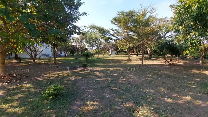 สุพรรณบุรี, สุพรรณบุรี, วังน้ำซับ, ศรีประจันต์, สุพรรณบุรี, 7,788 ตร.ม., ที่ดิน ขาย, โดย วิไลวรรณ, 500466378 - DDproperty.com
