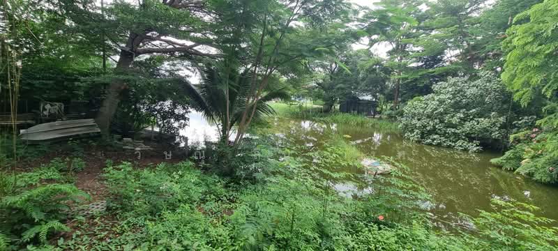 ขายบ้านเดี่ยว 2 ชั้น หมู่บ้านการ์เด้นลากูน่า ฉะเชิงเทรา, Chachoengsao, Khlong Luang Phaeng, Muang Chachoengsao, Chachoengsao, 3 Bedrooms, 180 sqm, Single Detached House For Sale, by วิษณุ ลีนะวงศ์, 500466496 - DDproperty.com