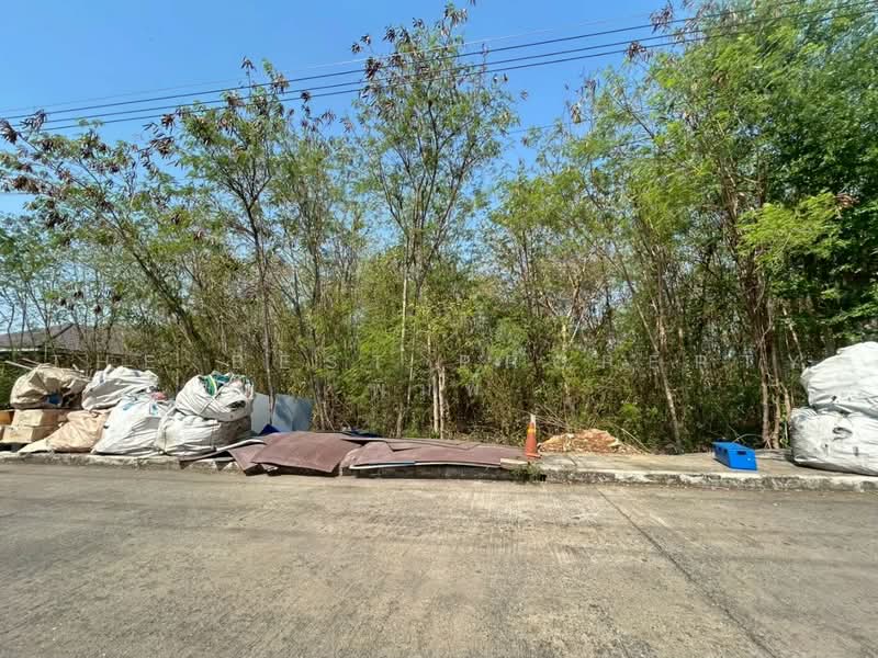 ที่ดินท่าไข่ ฉะเชิงเทรา, Chachoengsao, Tha Khai, Muang Chachoengsao, Chachoengsao, , 328 sqm, Land For Sale, by The Best Property พิมพ์, 500466503 - DDproperty.com