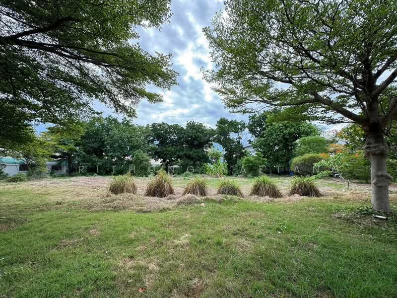 ขายที่ดินซอยเทียนทะเล 19 เขตบางขุนเทียน ที่แปลงสวยที่สุด ใกล้โรงเรียนนานาชาติรอยส์ รอยัล, กรุงเทพ, เทียนทะเล 19, ท่าข้าม, บางขุนเทียน, กรุงเทพ, 400 ตร.ม., ที่ดิน ขาย, โดย Sirithong Saetang, 500466586 - DDproperty.com