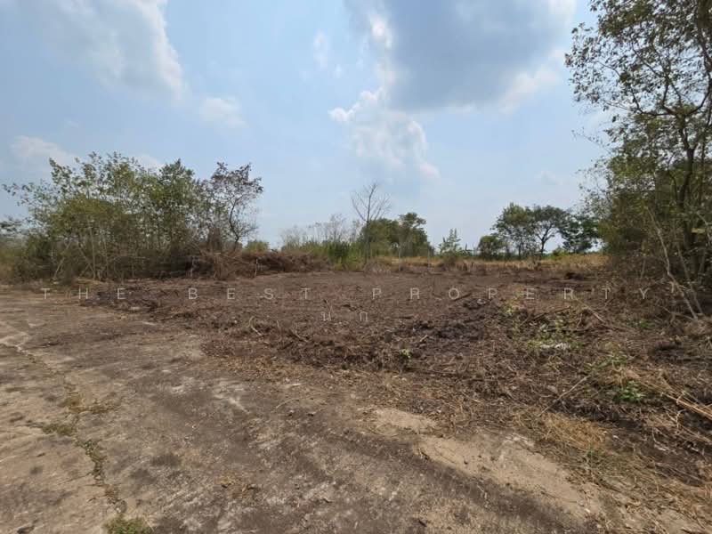 ที่ดินคลองหลวง ปทุมธานี, Pathum Thani, Khlong Hok, Khlong Luang, Pathum Thani, , 240 sqm, Land For Sale, by The Best Property นก, 500466621 - DDproperty.com