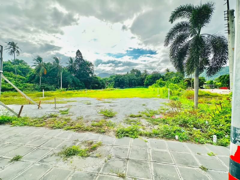 ที่ดินหนองข้างคอก ชลบุรี, Chon Buri (Pattaya), Nong Khang Khok, Muang Chon Buri, Chon Buri (Pattaya), , 1,590 sqm, Land For Sale, by The Best Property มิน, 500466629 - DDproperty.com
