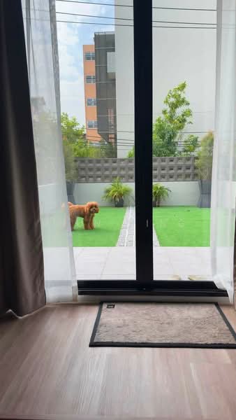 Newly Renovated Pet-Friendly Townhouse for Rent | Ekamai 22 – Pridi 41(SPSMG129), Bangkok, เอกมัย 22, Khlong Tan Nua, Watthana, Bangkok, 2 Bedrooms, 159 sqm, Townhouse For Rent, by Khun Ming, 500466698 - DDproperty.com