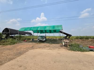 ขาย - ที่ดินคลองหลวง ปทุมธานี, ปทุมธานี