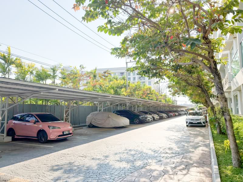 Amazon Residence Pattaya : อเมซอน เรสซิเดนซ์ พัทยา, ชลบุรี, ถนนบุณย์กัญจนา 5, หนองปรือ, บางละมุง, ชลบุรี, 70 ตร.ม., คอนโด ขาย, โดย Chanya Rojana, 500466796 - DDproperty.com
