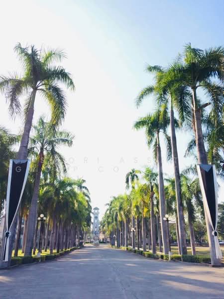 บ้านปาล์มสปริงส์เพลซ, เชียงใหม่, หนองหอย, เมืองเชียงใหม่, เชียงใหม่, 96 ตร.ม., ทาวน์เฮ้าส์ ให้เช่า, โดย Shori Asset Group Co., Ltd., 500466844 - DDproperty.com