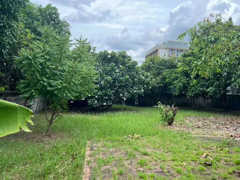 land for sell, Bangkok, Lat Yao, Chatuchak, Bangkok, , 816 sqm, Land For Sale, by คุณปุ้ม, 500466845 - DDproperty.com