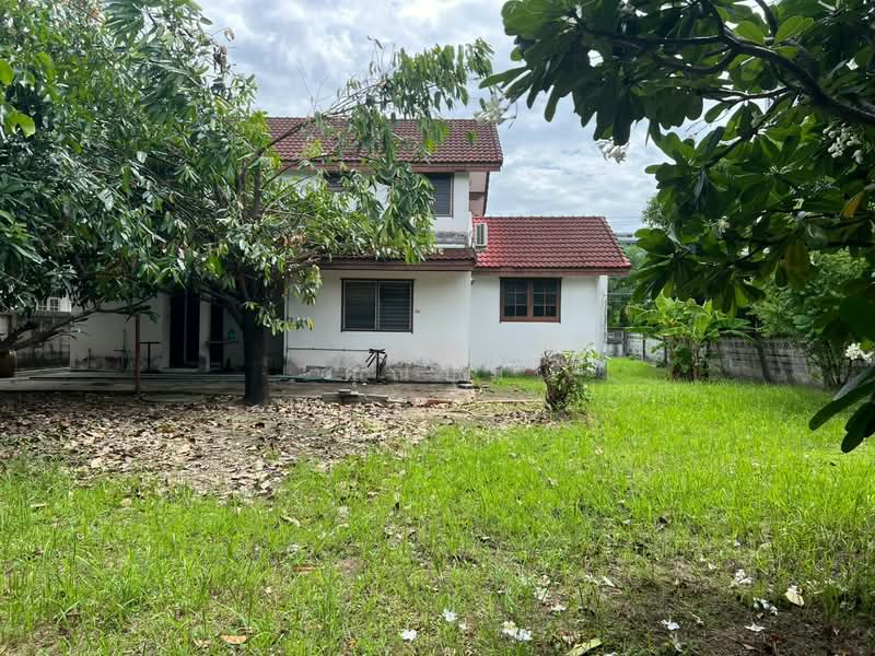 ขายที่ดิน, กรุงเทพ, ลาดยาว, จตุจักร, กรุงเทพ, 816 ตร.ม., ที่ดิน ขาย, โดย คุณปุ้ม, 500466845 - DDproperty.com