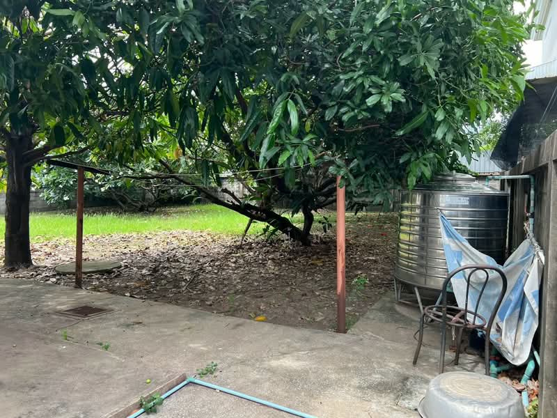 land for sell, Bangkok, Lat Yao, Chatuchak, Bangkok, , 816 sqm, Land For Sale, by คุณปุ้ม, 500466845 - DDproperty.com