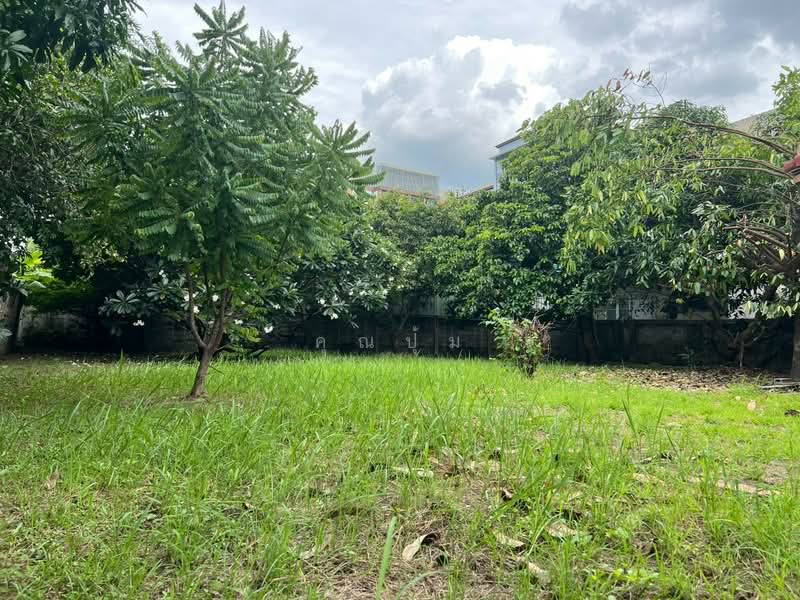 ขายที่ดิน, กรุงเทพ, ลาดยาว, จตุจักร, กรุงเทพ, 816 ตร.ม., ที่ดิน ขาย, โดย คุณปุ้ม, 500466845 - DDproperty.com