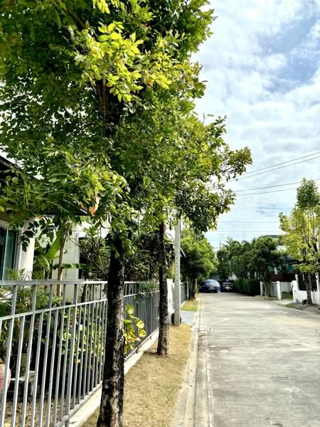 Villa Nova Teparak : วิลล่า โนวา เทพารักษ์, สมุทรปราการ, ถนน ตำหรุ-บางพลี, บางพลีใหญ่, บางพลี, สมุทรปราการ, 220 ตร.ม., บ้านเดี่ยว ขาย, โดย รินรดา แซ่ลี, 500466848 - DDproperty.com