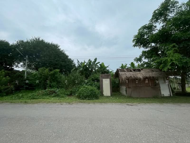 สันมหาพน, Chiang Mai, San Mahaphon, Mae Taeng, Chiang Mai, , 1,616 sqm, Land For Sale, by มุตตา สุวรรณประดิษฐ์, 500466890 - DDproperty.com