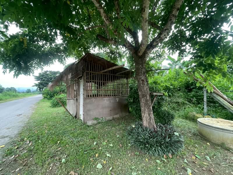 สันมหาพน, เชียงใหม่, สันมหาพน, แม่แตง, เชียงใหม่, 1,616 ตร.ม., ที่ดิน ขาย, โดย มุตตา สุวรรณประดิษฐ์, 500466890 - DDproperty.com
