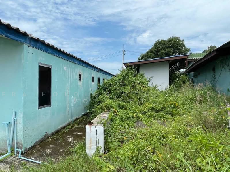 ที่ดินพร้อมโรงงานขนาดใหญ่ บางคล้า ฉะเชิงเทรา, Chachoengsao, Tha Thonglang, Bang Khla, Chachoengsao, , 37 sqm, Warehouse/Factory For Sale, by ERA Holding (Thailand) Co., Ltd., 500466932 - DDproperty.com
