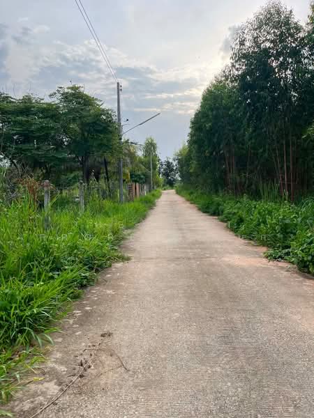 ที่ดินเชียงยืน มหาสารคาม, Maha Sarakham, Sua Thao, Chiang Yun, Maha Sarakham, , 2,040 sqm, Land For Sale, by The Best Property นก, 500466955 - DDproperty.com