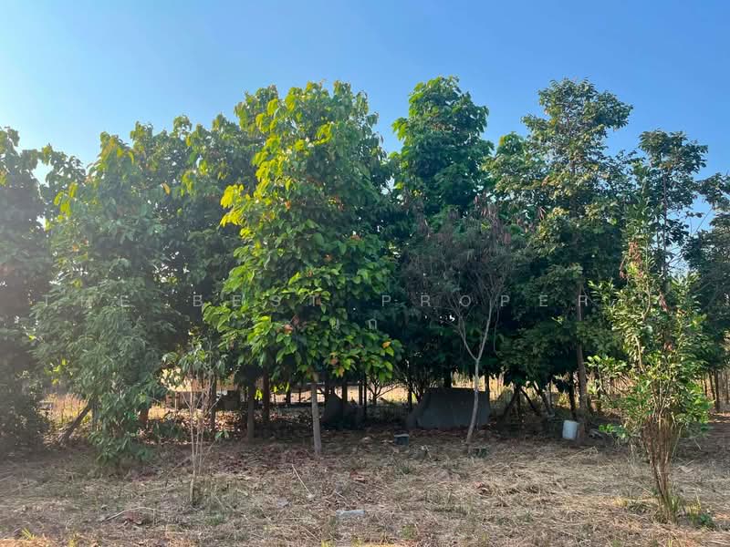 ที่ดินเชียงยืน มหาสารคาม, มหาสารคาม, เสือเฒ่า, เชียงยืน, มหาสารคาม, 2,040 ตร.ม., ที่ดิน ขาย, โดย The Best Property นก, 500466955 - DDproperty.com