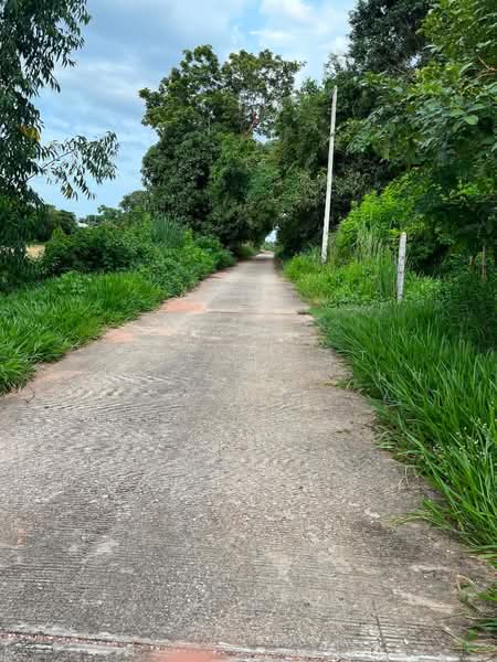 ที่ดินเชียงยืน มหาสารคาม, Maha Sarakham, Sua Thao, Chiang Yun, Maha Sarakham, , 2,040 sqm, Land For Sale, by The Best Property นก, 500466955 - DDproperty.com