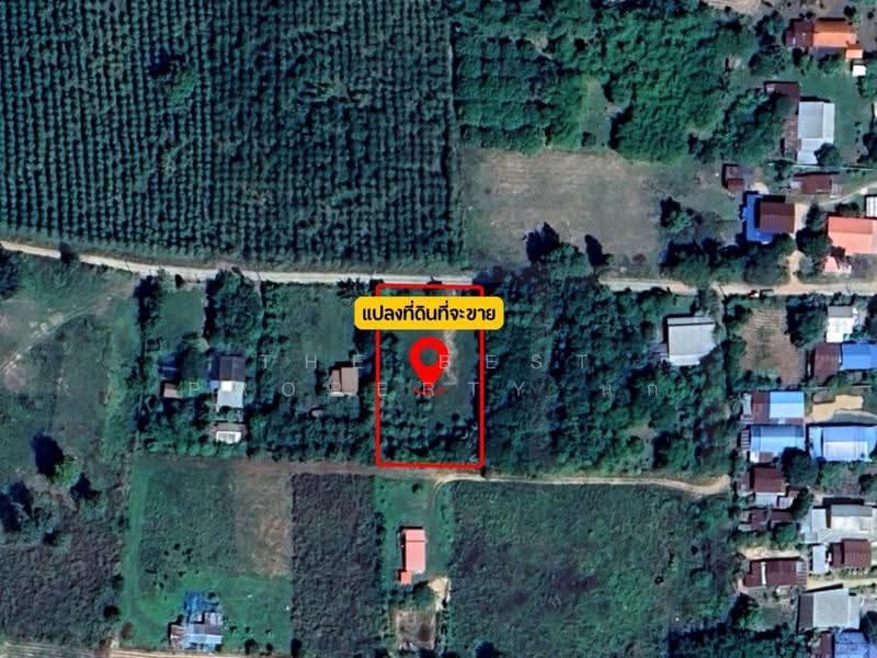 ที่ดินเชียงยืน มหาสารคาม, มหาสารคาม, เสือเฒ่า, เชียงยืน, มหาสารคาม, 2,040 ตร.ม., ที่ดิน ขาย, โดย The Best Property นก, 500466955 - DDproperty.com