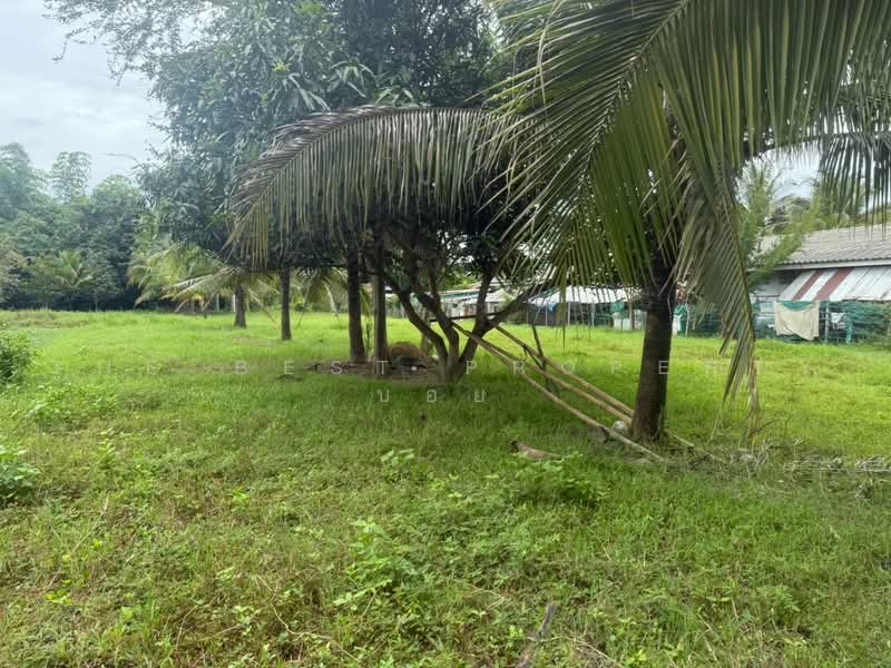 ที่ดินสันทราย เชียงใหม่, Chiang Mai, Nong Harn, San Sai, Chiang Mai, , 3,200 sqm, Land For Sale, by The Best Property บอย, 500466965 - DDproperty.com