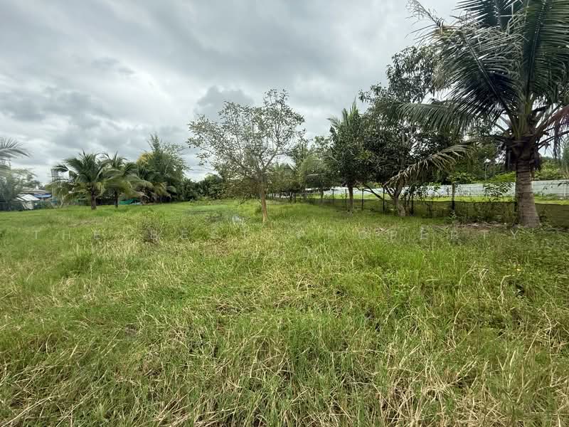 ที่ดินสันทราย เชียงใหม่, เชียงใหม่, หนองหาร, สันทราย, เชียงใหม่, 3,200 ตร.ม., ที่ดิน ขาย, โดย The Best Property บอย, 500466965 - DDproperty.com