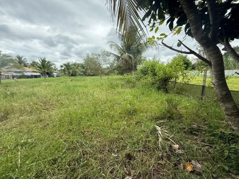 ที่ดินสันทราย เชียงใหม่, Chiang Mai, Nong Harn, San Sai, Chiang Mai, , 3,200 sqm, Land For Sale, by The Best Property บอย, 500466965 - DDproperty.com