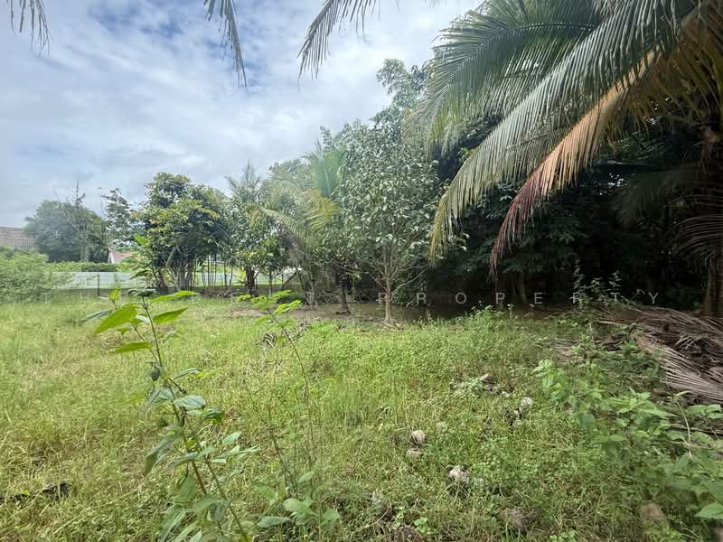ที่ดินสันทราย เชียงใหม่, เชียงใหม่, หนองหาร, สันทราย, เชียงใหม่, 3,200 ตร.ม., ที่ดิน ขาย, โดย The Best Property บอย, 500466965 - DDproperty.com