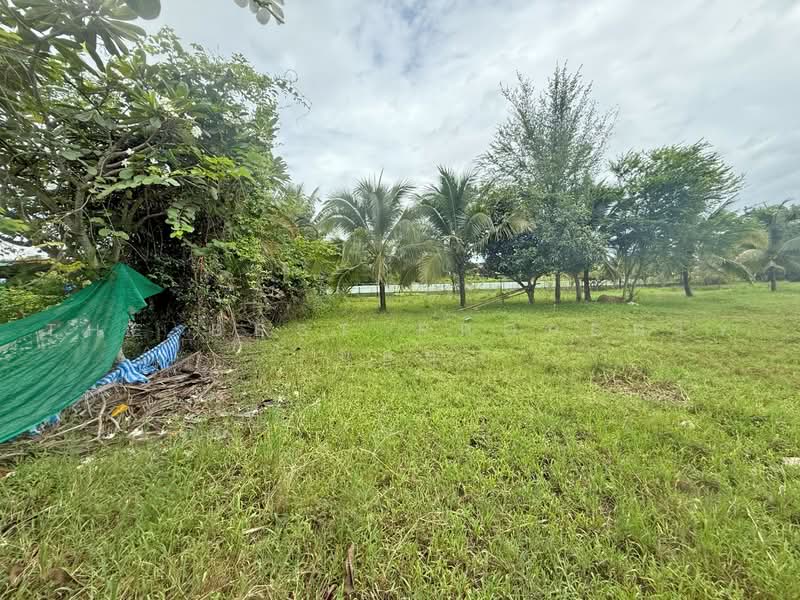 ที่ดินสันทราย เชียงใหม่, เชียงใหม่, หนองหาร, สันทราย, เชียงใหม่, 3,200 ตร.ม., ที่ดิน ขาย, โดย The Best Property บอย, 500466965 - DDproperty.com