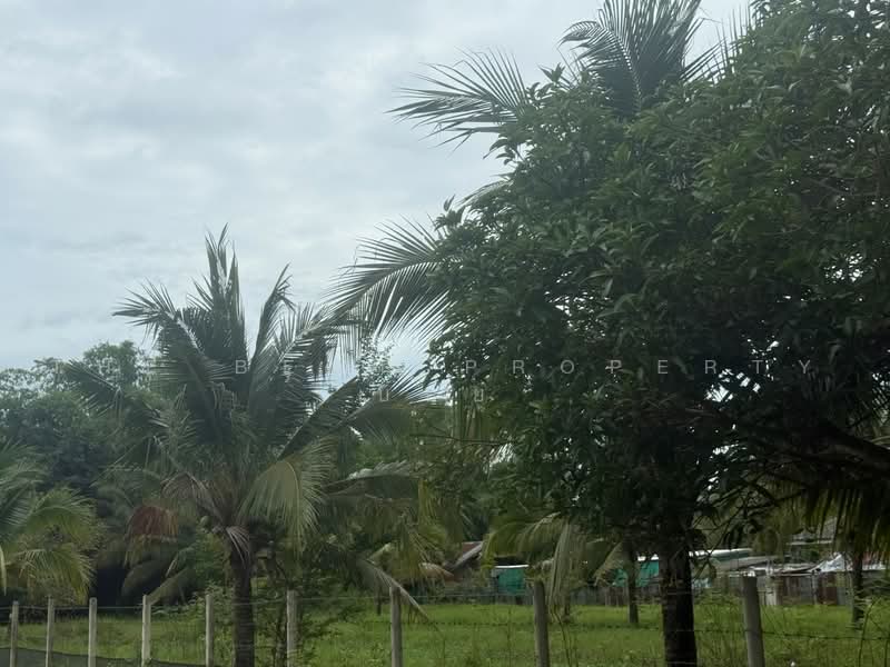 ที่ดินสันทราย เชียงใหม่, เชียงใหม่, หนองหาร, สันทราย, เชียงใหม่, 3,200 ตร.ม., ที่ดิน ขาย, โดย The Best Property บอย, 500466965 - DDproperty.com