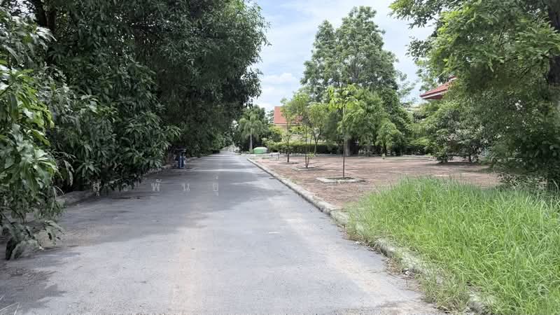 Land for Sale 10 Rai (Pink City Plan) in Na Di, Samut Sakhon with 3 Luxury Houses, Samut Sakhon, Na Di, Muang Samut Sakhon, Samut Sakhon, , 16,000 sqm, Land For Sale, by สุวพันธุ์ ศรีสังข์สุข, 500467036 - DDproperty.com