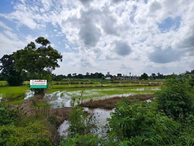 พรหมณี, นครนายก, พรหมณี, เมืองนครนายก, นครนายก, 5,460 ตร.ม., Land ขาย, โดย ชัญญานุช พุ่มสุวรรณ, 500467064 - DDproperty.com