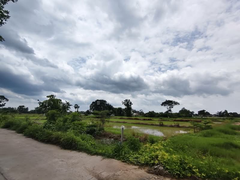 พรหมณี, นครนายก, พรหมณี, เมืองนครนายก, นครนายก, 5,460 ตร.ม., Land ขาย, โดย ชัญญานุช พุ่มสุวรรณ, 500467064 - DDproperty.com