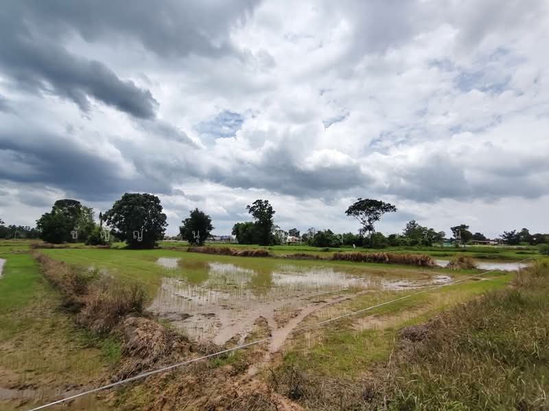 พรหมณี, นครนายก, พรหมณี, เมืองนครนายก, นครนายก, 5,460 ตร.ม., Land ขาย, โดย ชัญญานุช พุ่มสุวรรณ, 500467064 - DDproperty.com