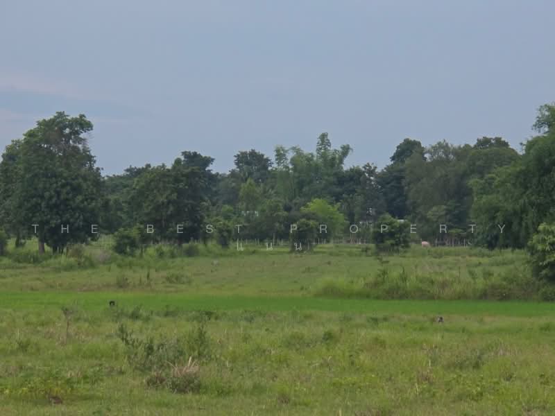 ที่ดินนามน กาฬสินธุ์, กาฬสินธุ์, ยอดแกง, นามน, กาฬสินธุ์, 40,520 ตร.ม., ที่ดิน ขาย, โดย The Best Property แนน, 500467074 - DDproperty.com