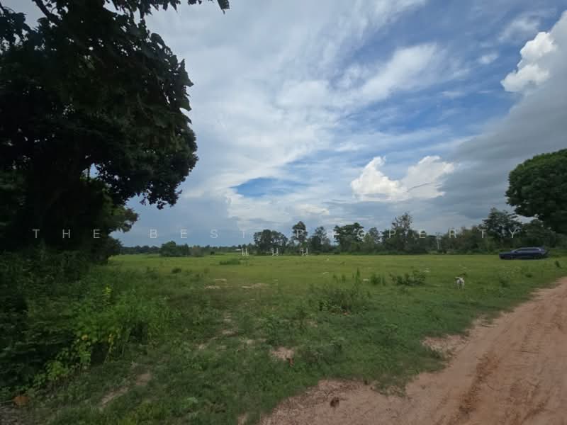 ที่ดินนามน กาฬสินธุ์, กาฬสินธุ์, ยอดแกง, นามน, กาฬสินธุ์, 40,520 ตร.ม., ที่ดิน ขาย, โดย The Best Property แนน, 500467074 - DDproperty.com