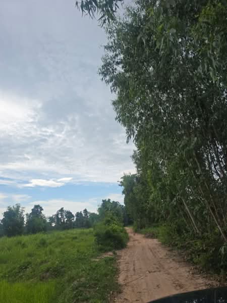 ที่ดินนามน กาฬสินธุ์, กาฬสินธุ์, ยอดแกง, นามน, กาฬสินธุ์, 40,520 ตร.ม., ที่ดิน ขาย, โดย The Best Property แนน, 500467074 - DDproperty.com