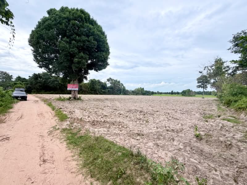 ที่ดินนามน กาฬสินธุ์, กาฬสินธุ์, ยอดแกง, นามน, กาฬสินธุ์, 40,520 ตร.ม., ที่ดิน ขาย, โดย The Best Property แนน, 500467074 - DDproperty.com