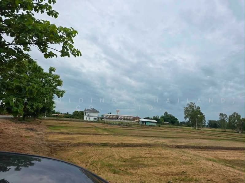 ขายที่ดินสวย ป่าสัก จ.ลำพูน, Lamphun, Pa Sak, Muang Lamphun, Lamphun, , 8,092 sqm, Land For Sale, by ERA Holding (Thailand) Co., Ltd., 500467081 - DDproperty.com